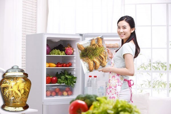 Bảo quản nhân sâm tươi trong tủ lạnh