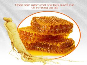 sâm ngâm mật ong