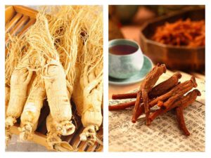 nhân sâm và hồng sâm